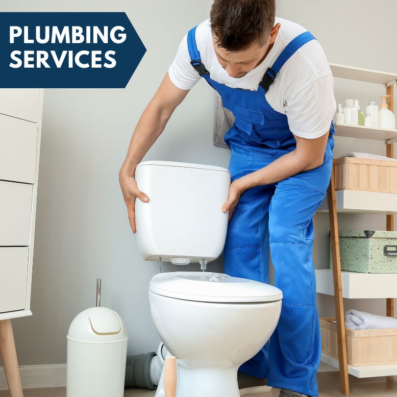 Plumbing Company in Stoy, IL